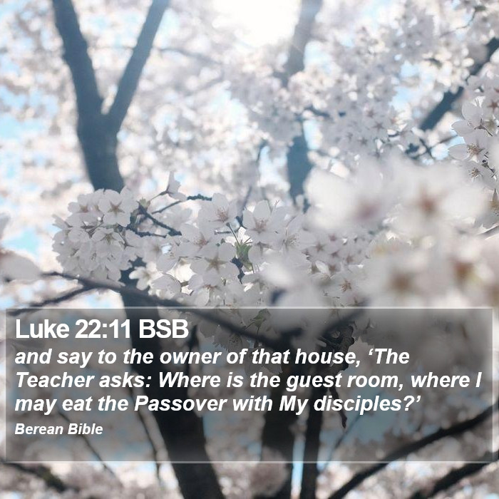 Luke 22:11 BSB Bible Study