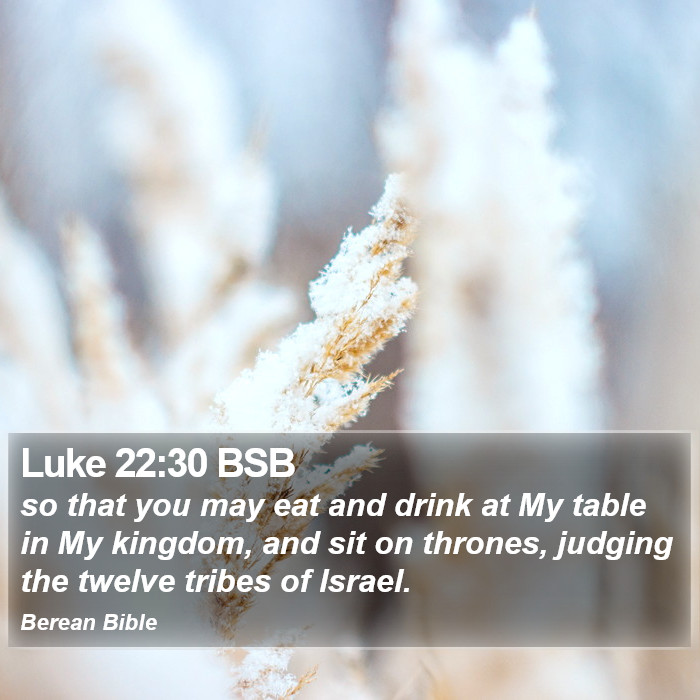 Luke 22:30 BSB Bible Study