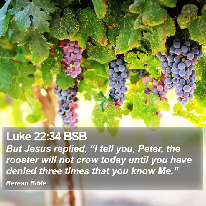 Luke 22:34 BSB Bible Study