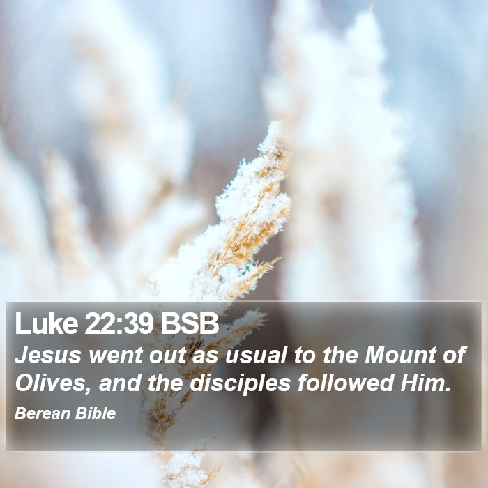 Luke 22:39 BSB Bible Study