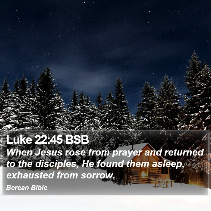 Luke 22:45 BSB Bible Study