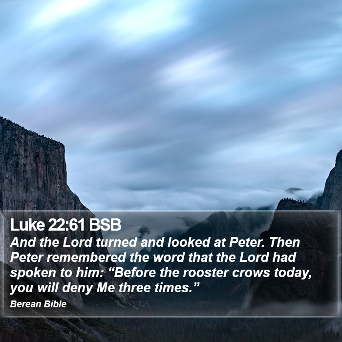 Luke 22:61 BSB Bible Study