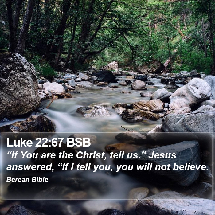 Luke 22:67 BSB Bible Study