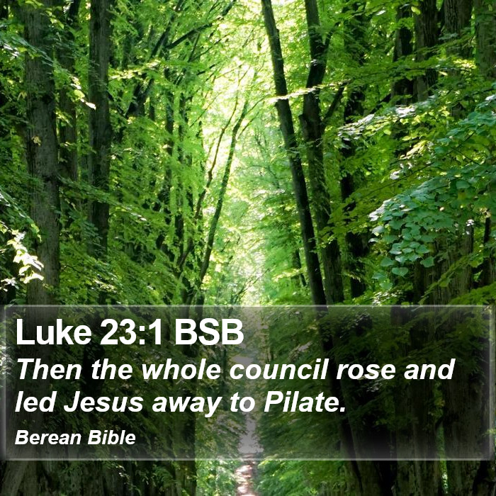 Luke 23:1 BSB Bible Study