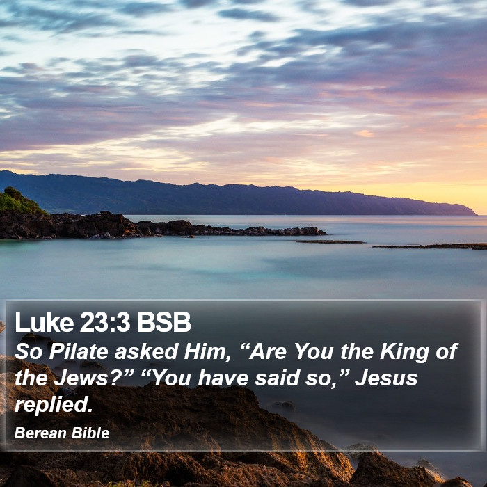 Luke 23:3 BSB Bible Study