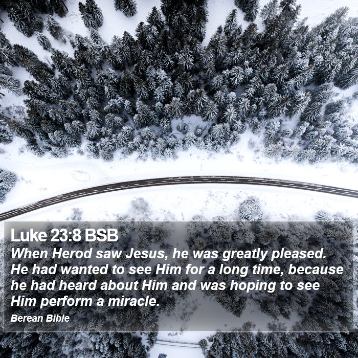 Luke 23:8 BSB Bible Study