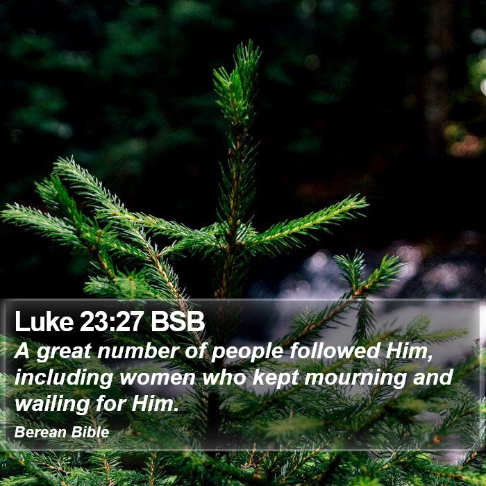 Luke 23:27 BSB Bible Study