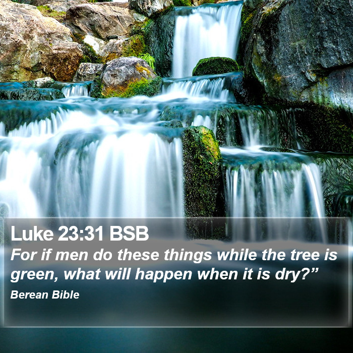 Luke 23:31 BSB Bible Study