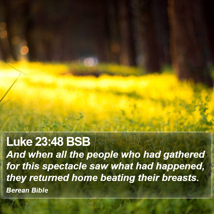 Luke 23:48 BSB Bible Study