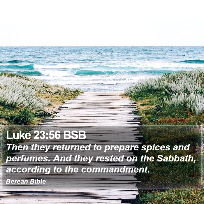 Luke 23:56 BSB Bible Study