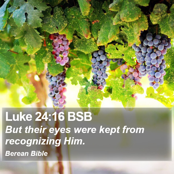 Luke 24:16 BSB Bible Study