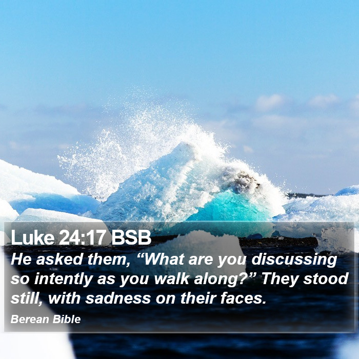 Luke 24:17 BSB Bible Study