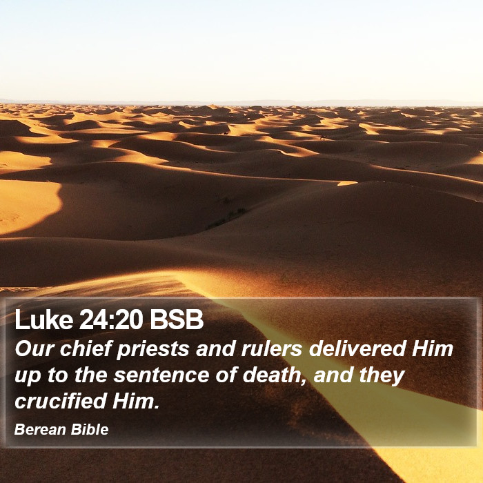 Luke 24:20 BSB Bible Study