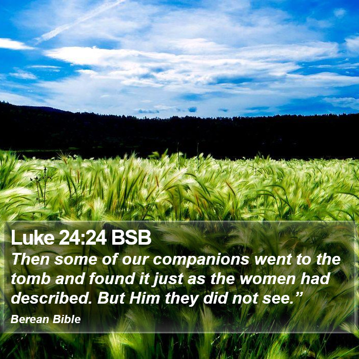 Luke 24:24 BSB Bible Study