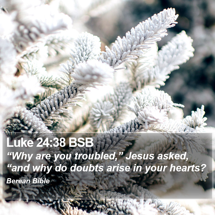 Luke 24:38 BSB Bible Study