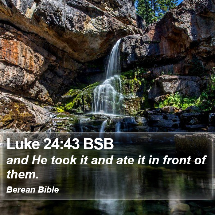 Luke 24:43 BSB Bible Study