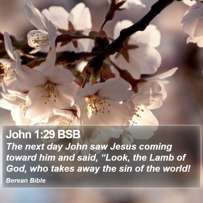 John 1:29 BSB Bible Study