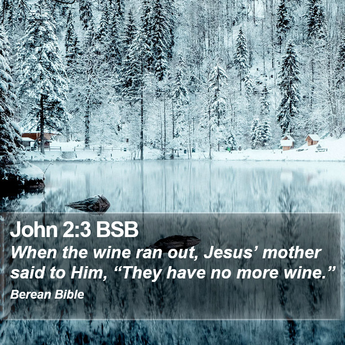 John 2:3 BSB Bible Study