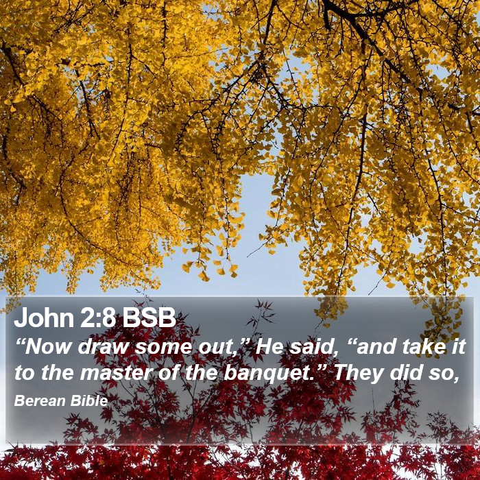 John 2:8 BSB Bible Study