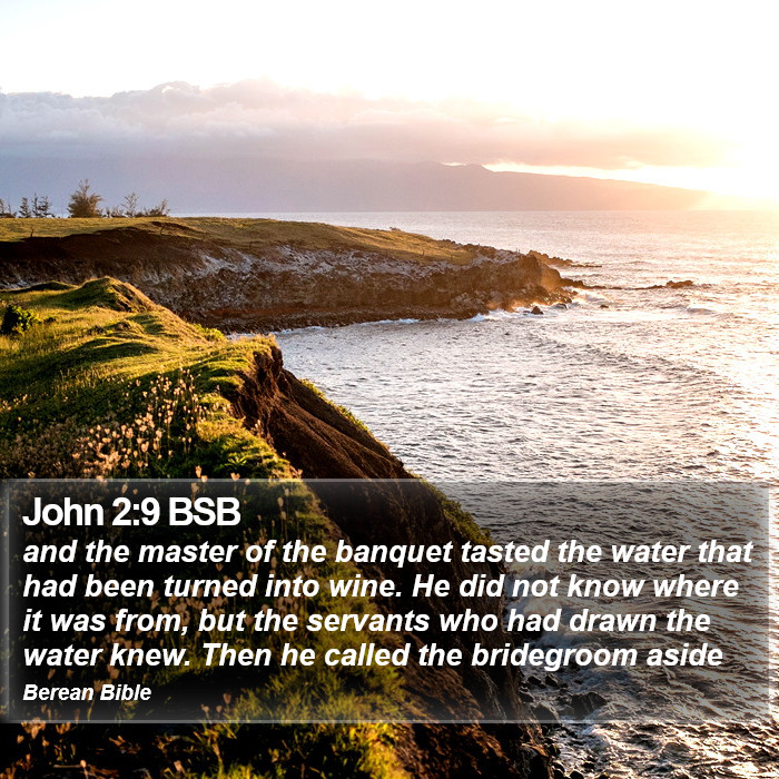 John 2:9 BSB Bible Study