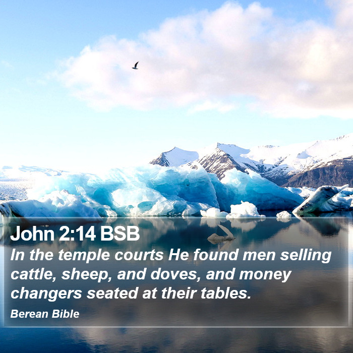 John 2:14 BSB Bible Study