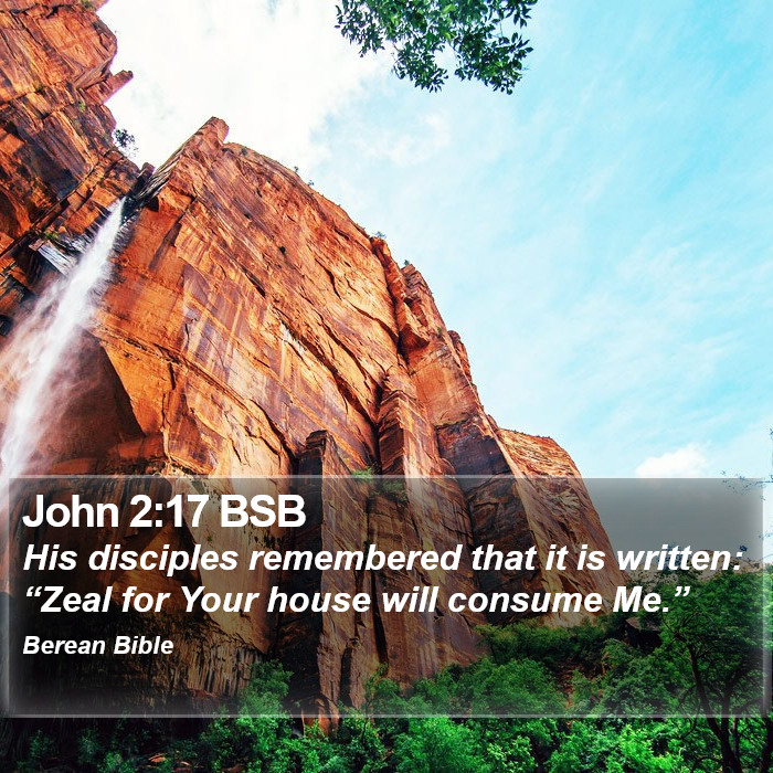 John 2:17 BSB Bible Study