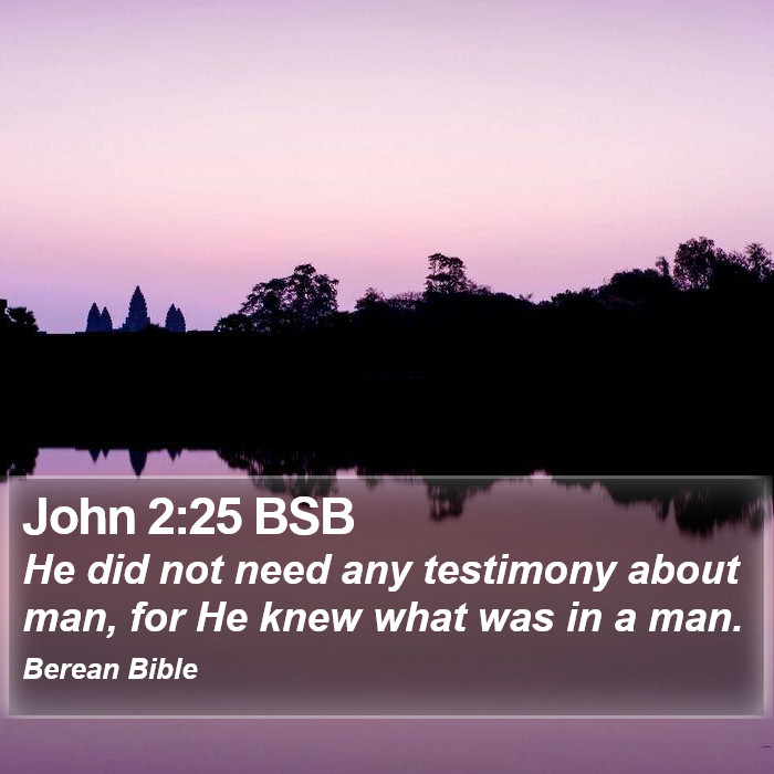 John 2:25 BSB Bible Study