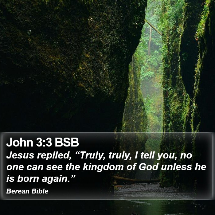 John 3:3 BSB Bible Study