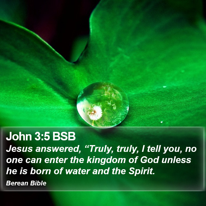 John 3:5 BSB Bible Study