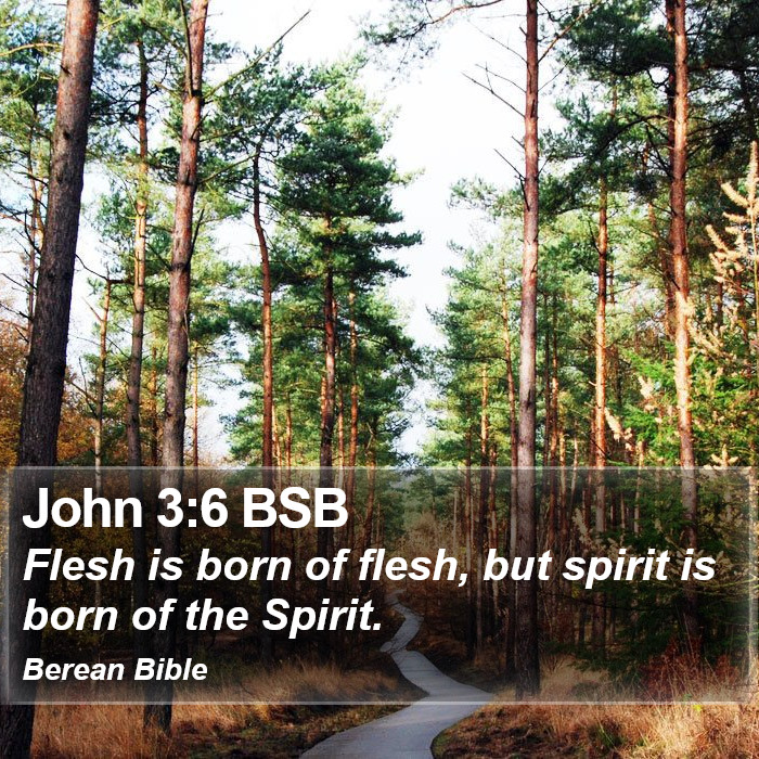 John 3:6 BSB Bible Study