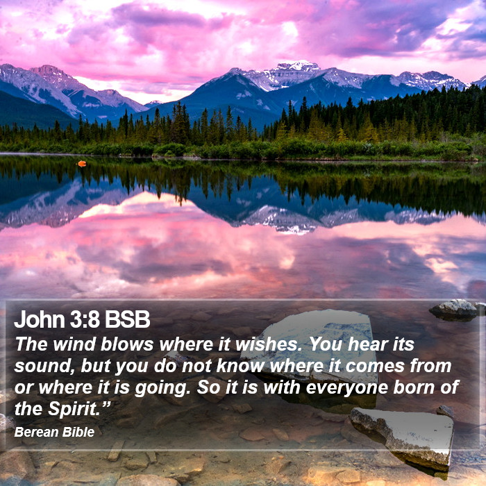 John 3:8 BSB Bible Study