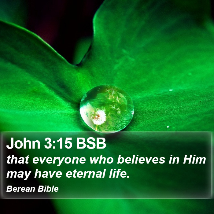 John 3:15 BSB Bible Study