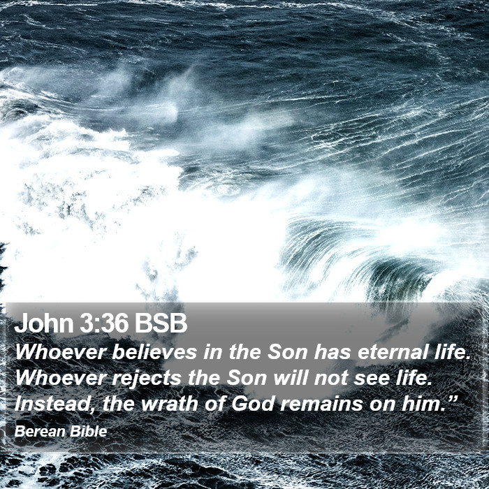 John 3:36 BSB Bible Study