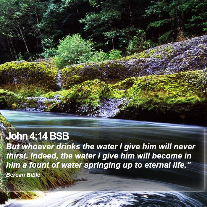 John 4:14 BSB Bible Study