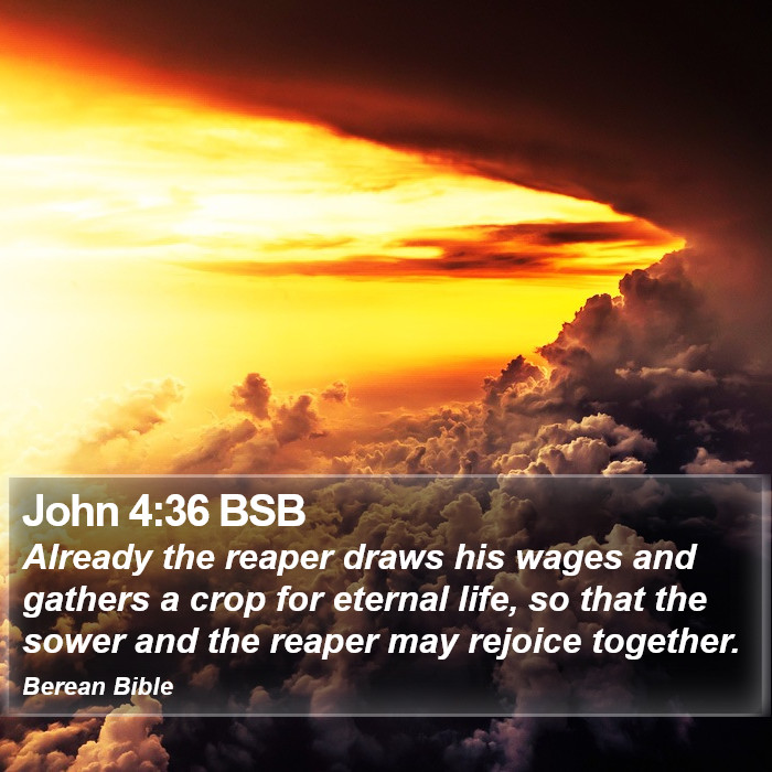 John 4:36 BSB Bible Study