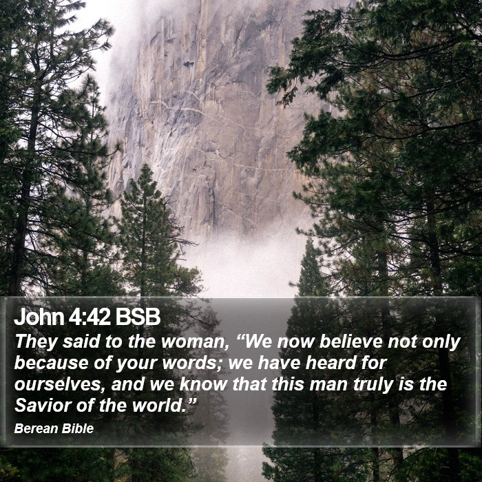 John 4:42 BSB Bible Study