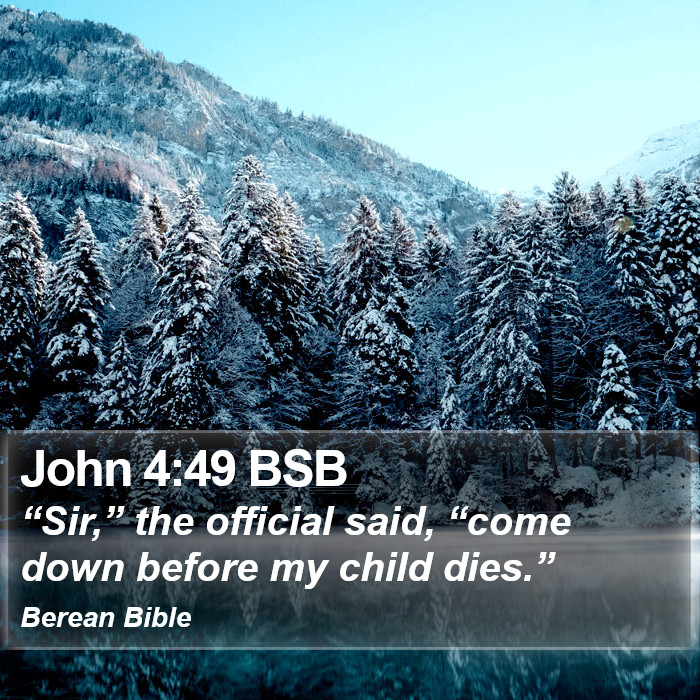 John 4:49 BSB Bible Study