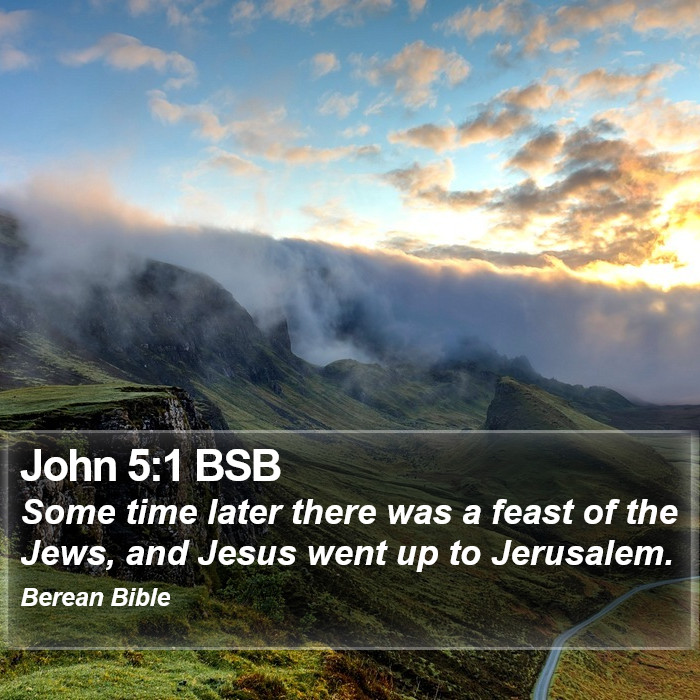 John 5:1 BSB Bible Study