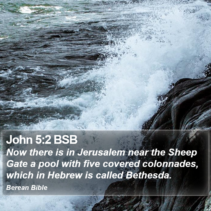 John 5:2 BSB Bible Study