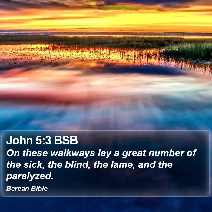 John 5:3 BSB Bible Study