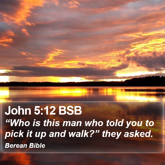 John 5:12 BSB Bible Study