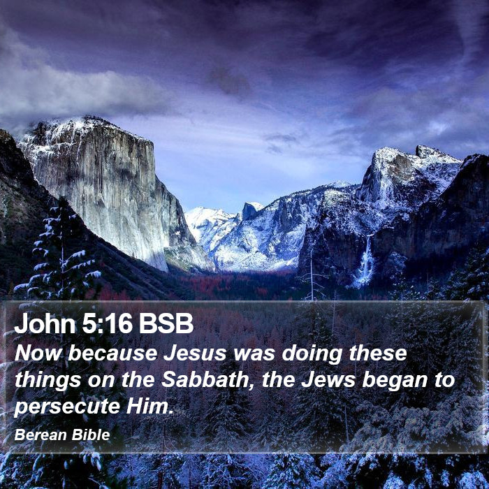 John 5:16 BSB Bible Study