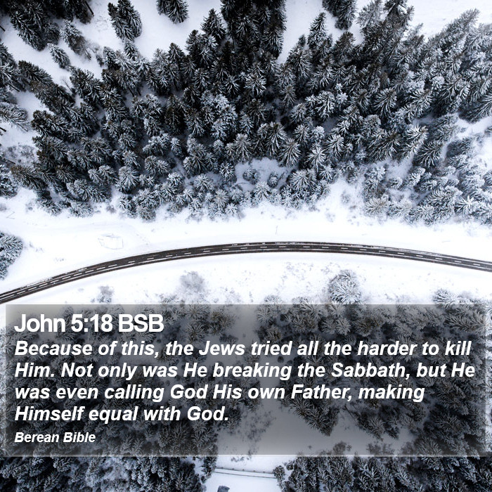 John 5:18 BSB Bible Study