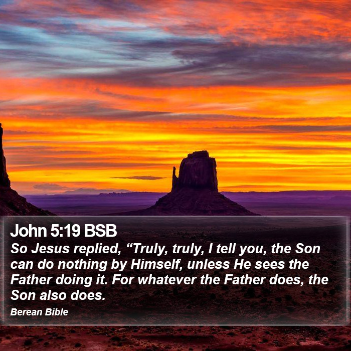 John 5:19 BSB Bible Study