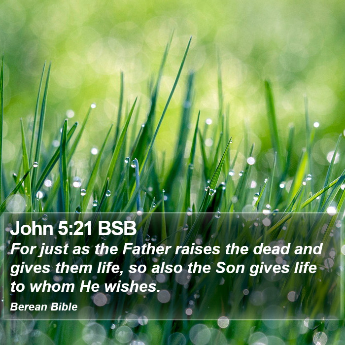 John 5:21 BSB Bible Study