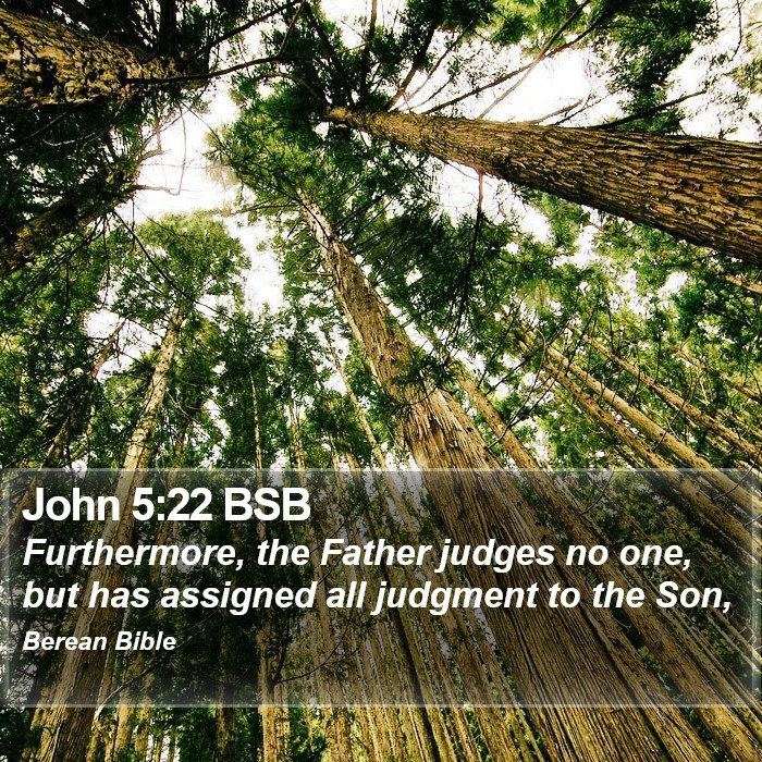 John 5:22 BSB Bible Study