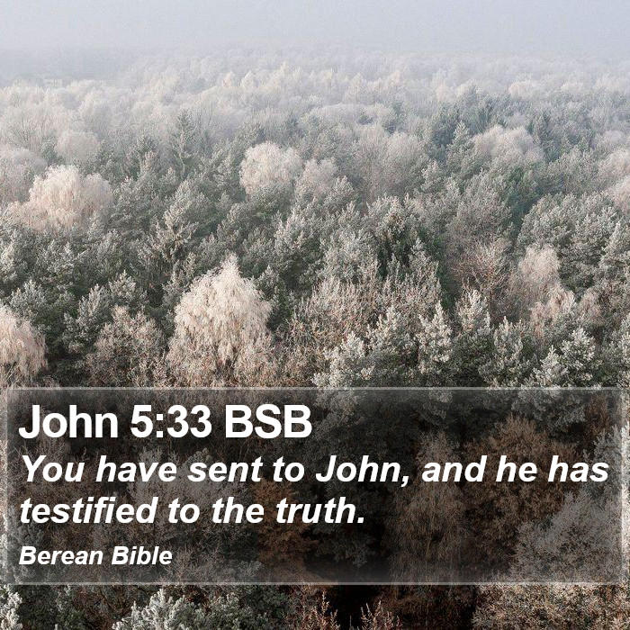 John 5:33 BSB Bible Study