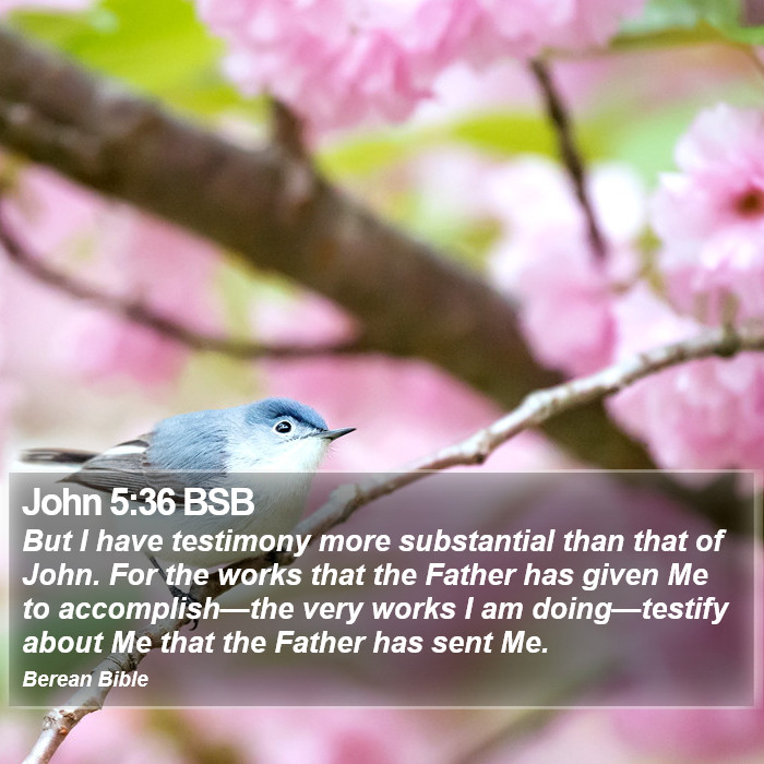 John 5:36 BSB Bible Study