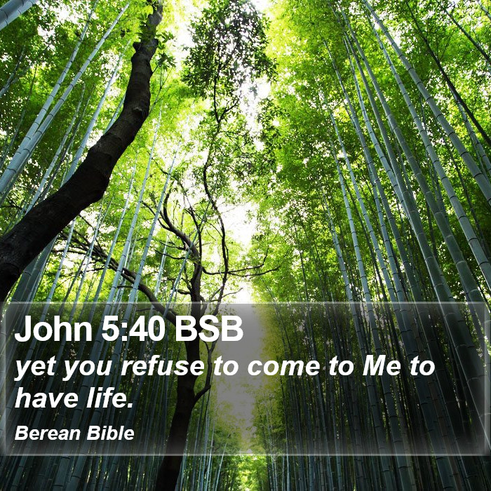 John 5:40 BSB Bible Study