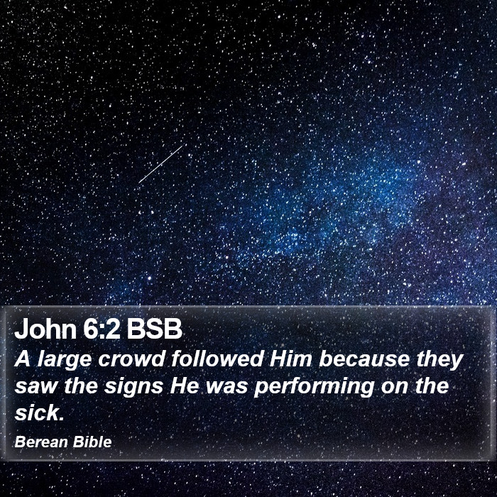 John 6:2 BSB Bible Study